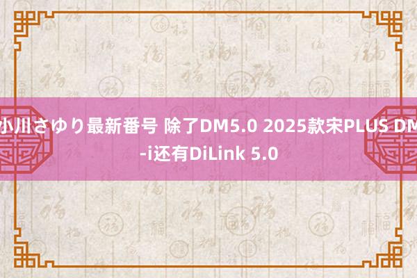 小川さゆり最新番号 除了DM5.0 2025款宋PLUS DM-i还有DiLink 5.0