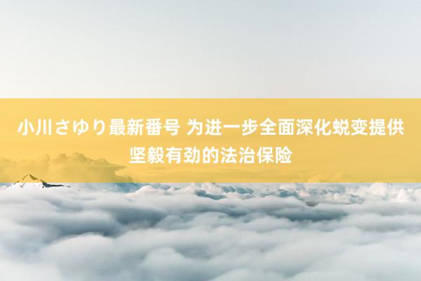 小川さゆり最新番号 为进一步全面深化蜕变提供坚毅有劲的法治保险