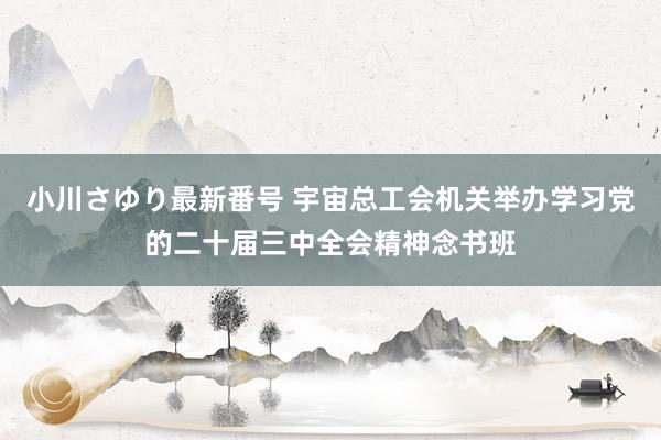 小川さゆり最新番号 宇宙总工会机关举办学习党的二十届三中全会精神念书班