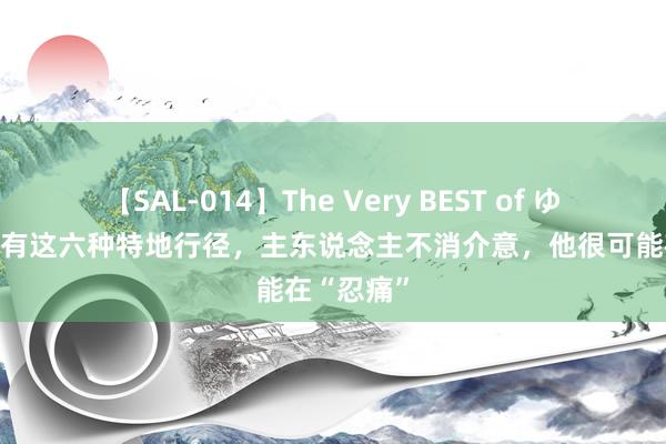 【SAL-014】The Very BEST of ゆか 要是猫有这六种特地行径，主东说念主不消介意，他很可能在“忍痛”