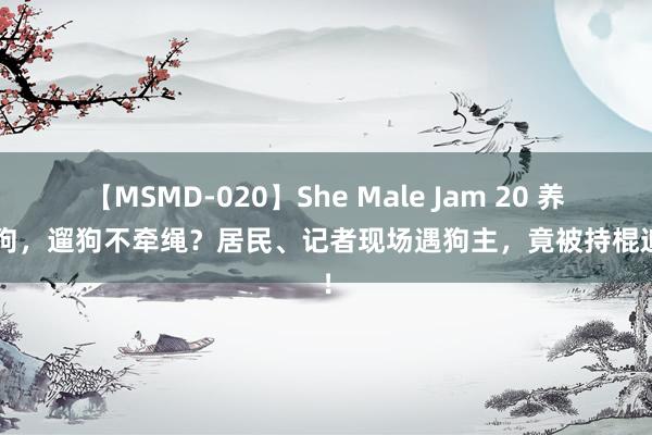 【MSMD-020】She Male Jam 20 养4条狗，遛狗不牵绳？居民、记者现场遇狗主，竟被持棍追打！