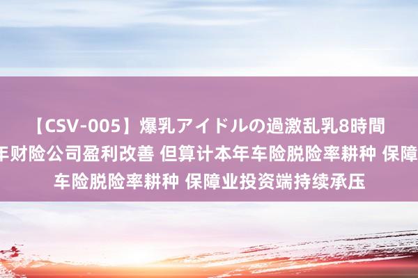 【CSV-005】爆乳アイドルの過激乱乳8時間 最新数据！2022年财险公司盈利改善 但算计本年车险脱险率耕种 保障业投资端持续承压