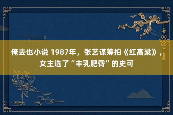 俺去也小说 1987年，张艺谋筹拍《红高粱》，女主选了“丰乳肥臀”的史可