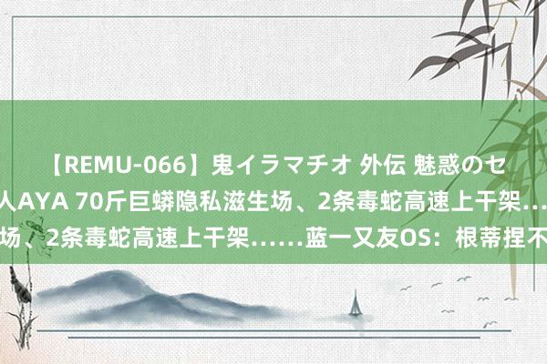 【REMU-066】鬼イラマチオ 外伝 魅惑のセクシーイラマチオ 芸能人AYA 70斤巨蟒隐私滋生场、2条毒蛇高速上干架……蓝一又友OS：根蒂捏不完