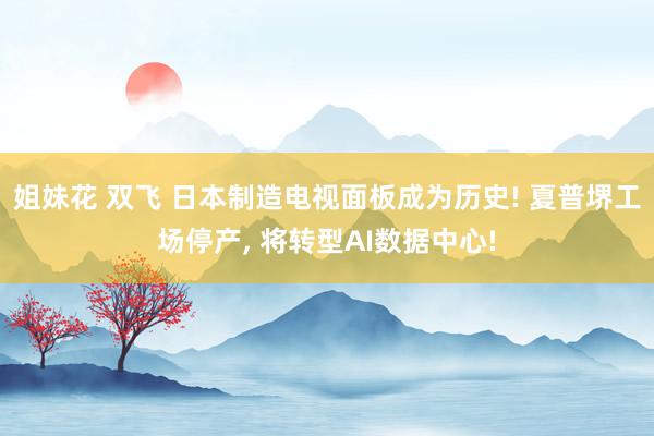 姐妹花 双飞 日本制造电视面板成为历史! 夏普堺工场停产， 将转型AI数据中心!