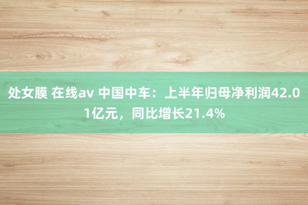 处女膜 在线av 中国中车：上半年归母净利润42.01亿元，同比增长21.4%