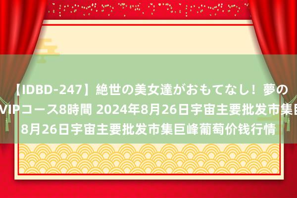 【IDBD-247】絶世の美女達がおもてなし！夢の桃源郷 IP風俗街 VIPコース8時間 2024年8月26日宇宙主要批发市集巨峰葡萄价钱行情